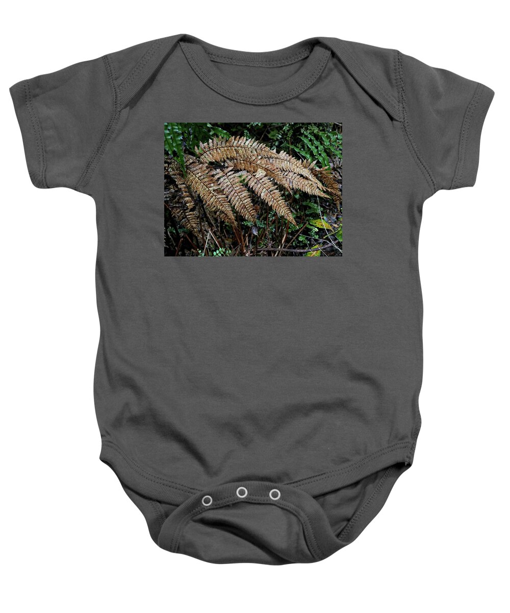 Ferns Baby Onesie featuring the photograph Fern leaves close up by Martin Smith