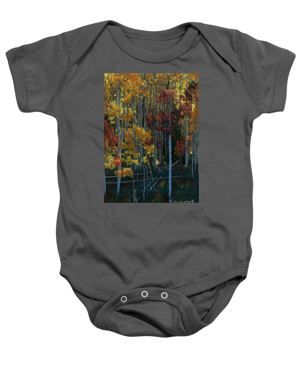 Aspen Baby Onesie featuring the photograph Flames of Autumn by Jim Garrison
