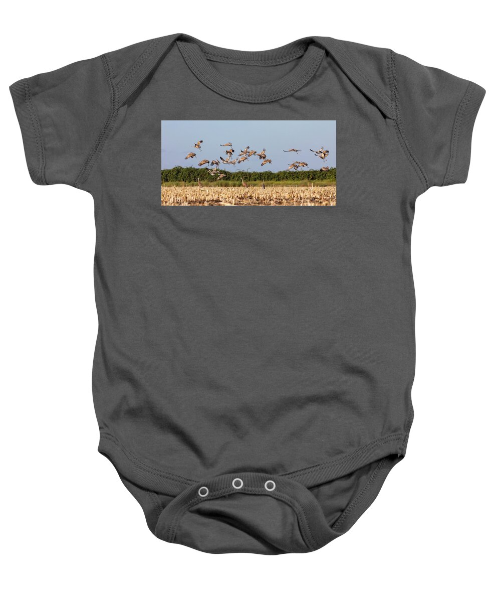 Cranes Baby Onesie featuring the photograph Flock of Cranes Take Off by Lisa Malecki