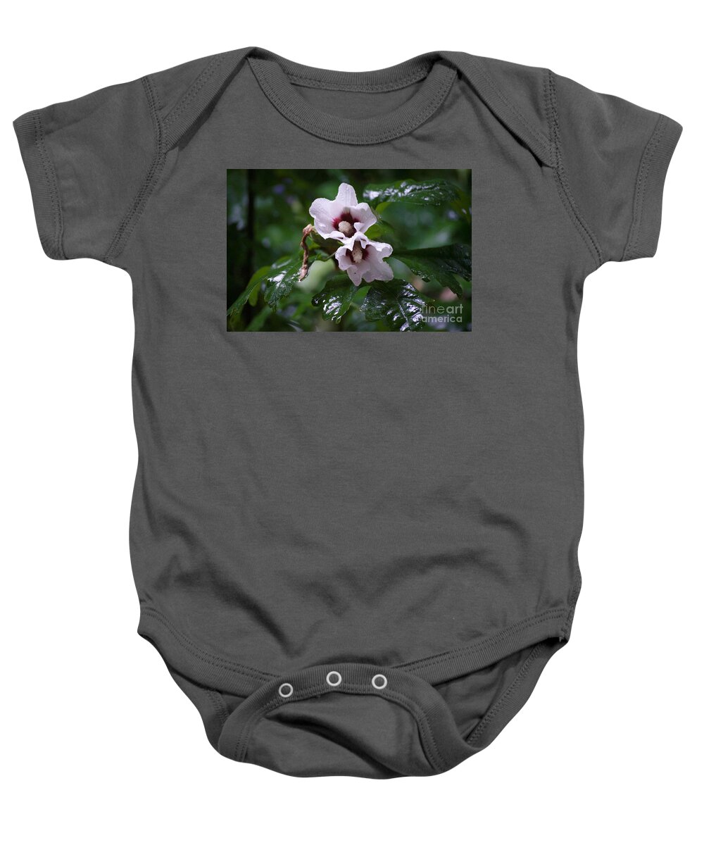 Flowers Baby Onesie featuring the photograph Flowers After The Rain by Aicy Karbstein