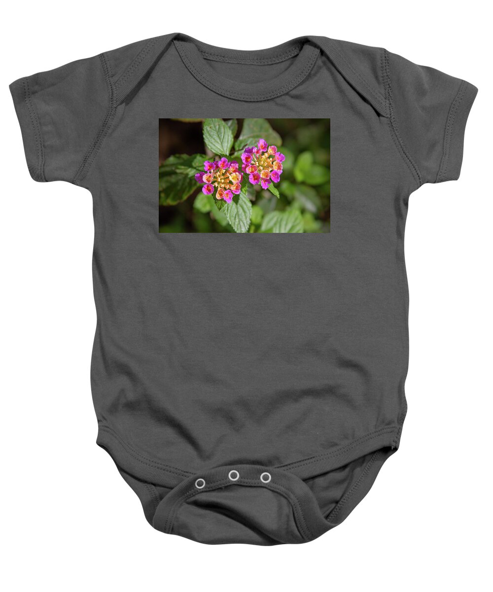 Flowers Baby Onesie featuring the photograph Flowers by Rocco Silvestri