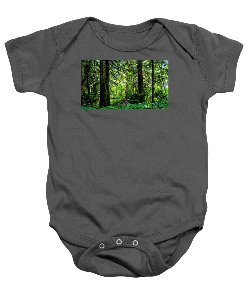 Forest Baby Onesie featuring the photograph Forest Light and Shadow by Cathy Anderson