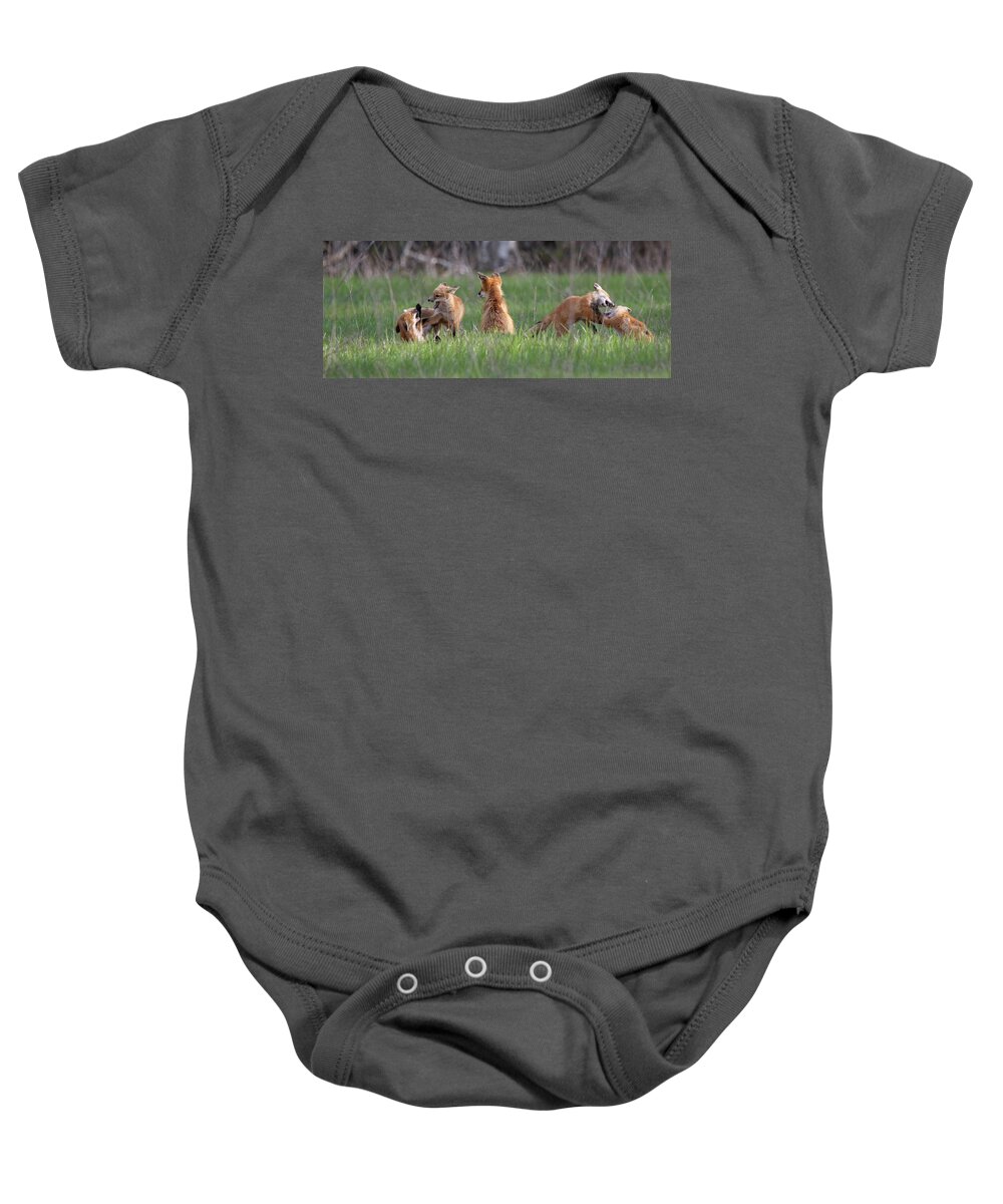 Red Baby Onesie featuring the photograph Fox Family Panoramic by Brook Burling