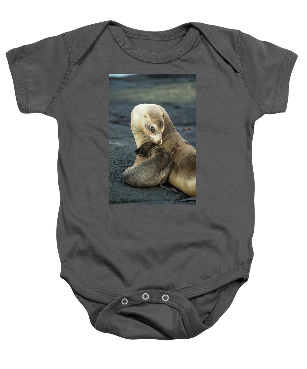 Animal Baby Onesie featuring the photograph Galapagos Sea Lion Nuzzling Pup by Tui De Roy