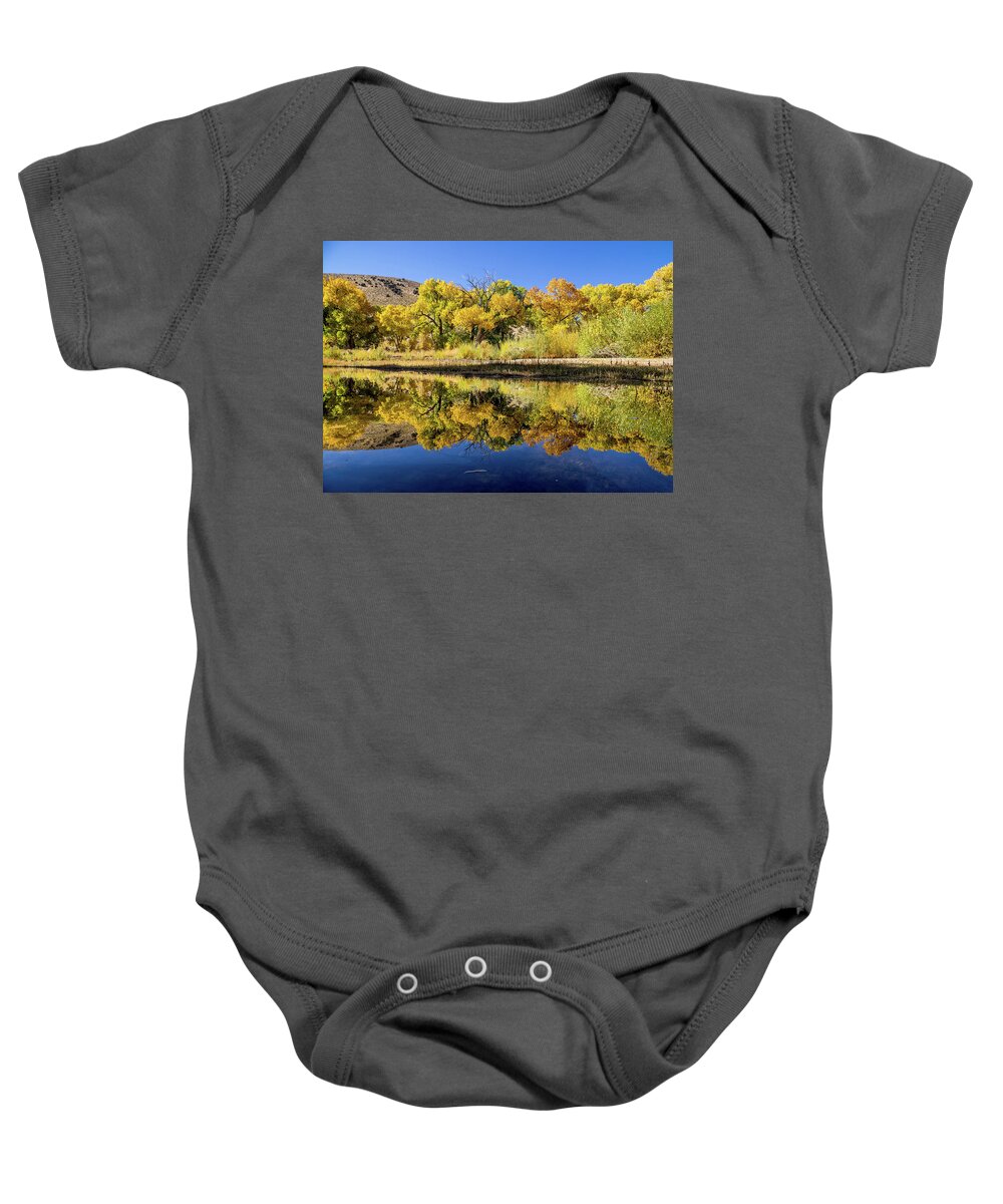 Fall Baby Onesie featuring the photograph Golden Mirror by Martin Gollery