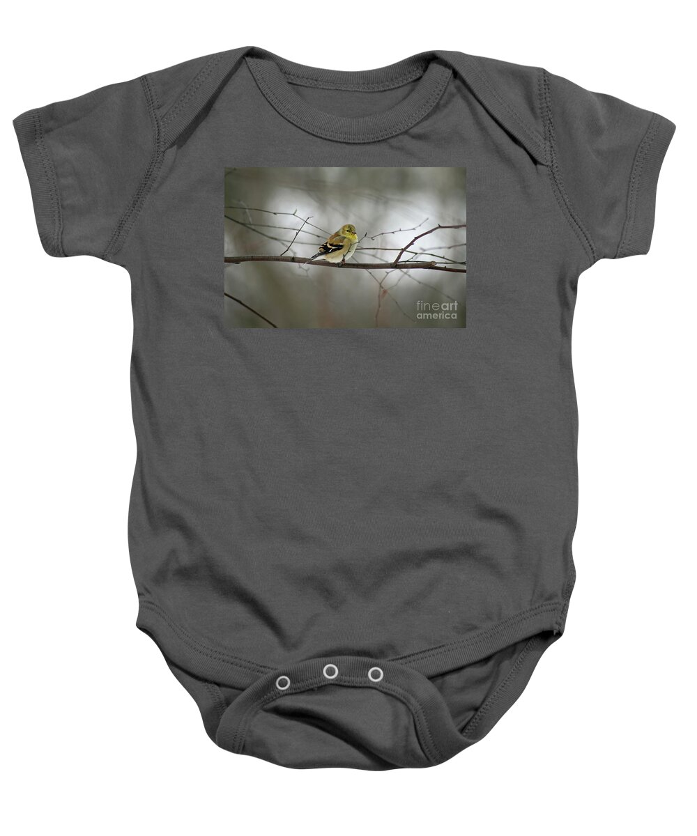 American Goldfinch Baby Onesie featuring the photograph Goldfinch in Winter Looking at You by Karen Adams