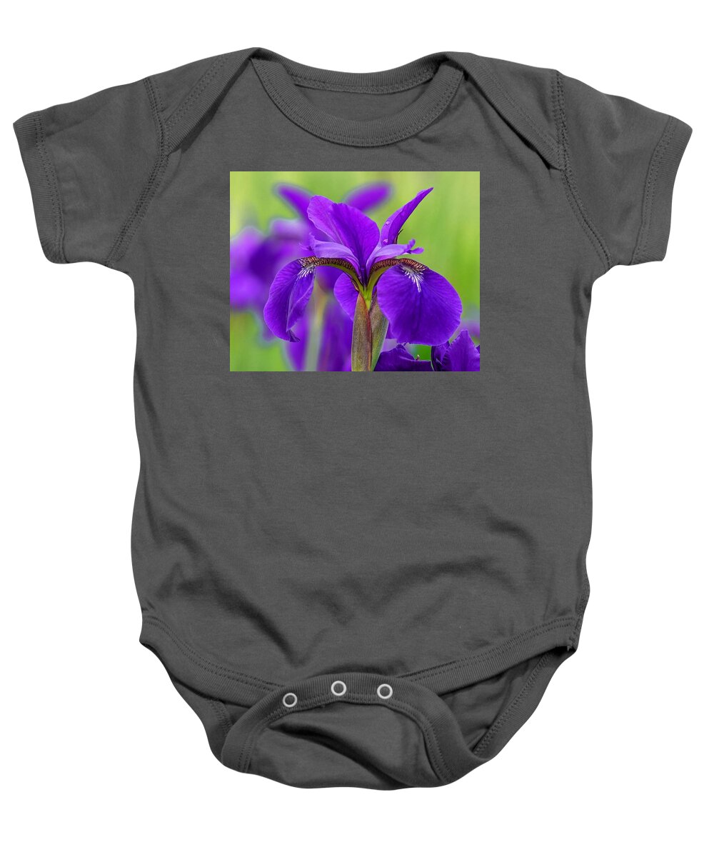 Original Art Baby Onesie featuring the photograph Gorgeous Irises by Susan Rydberg