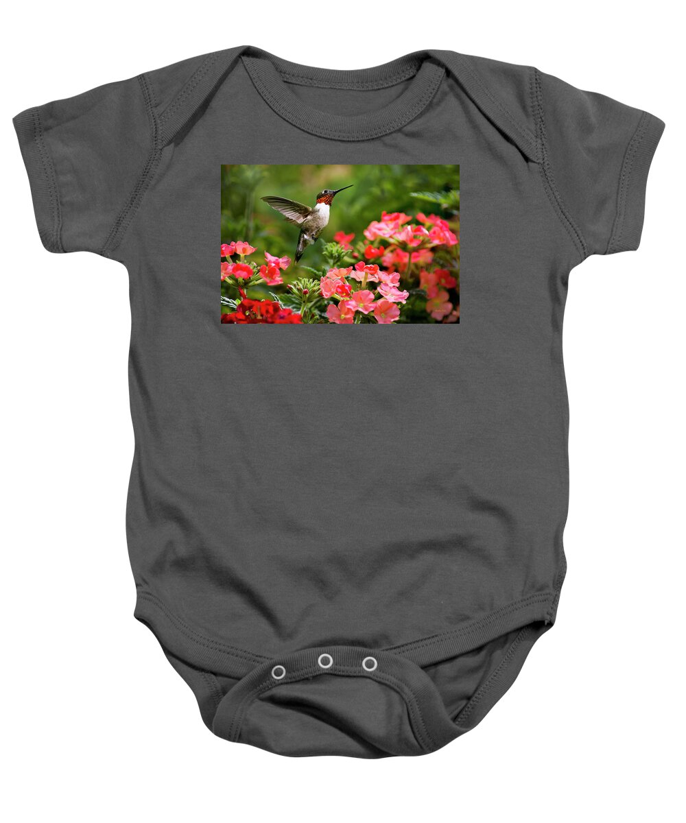 Hummingbird Baby Onesie featuring the photograph Graceful Garden Jewel by Christina Rollo