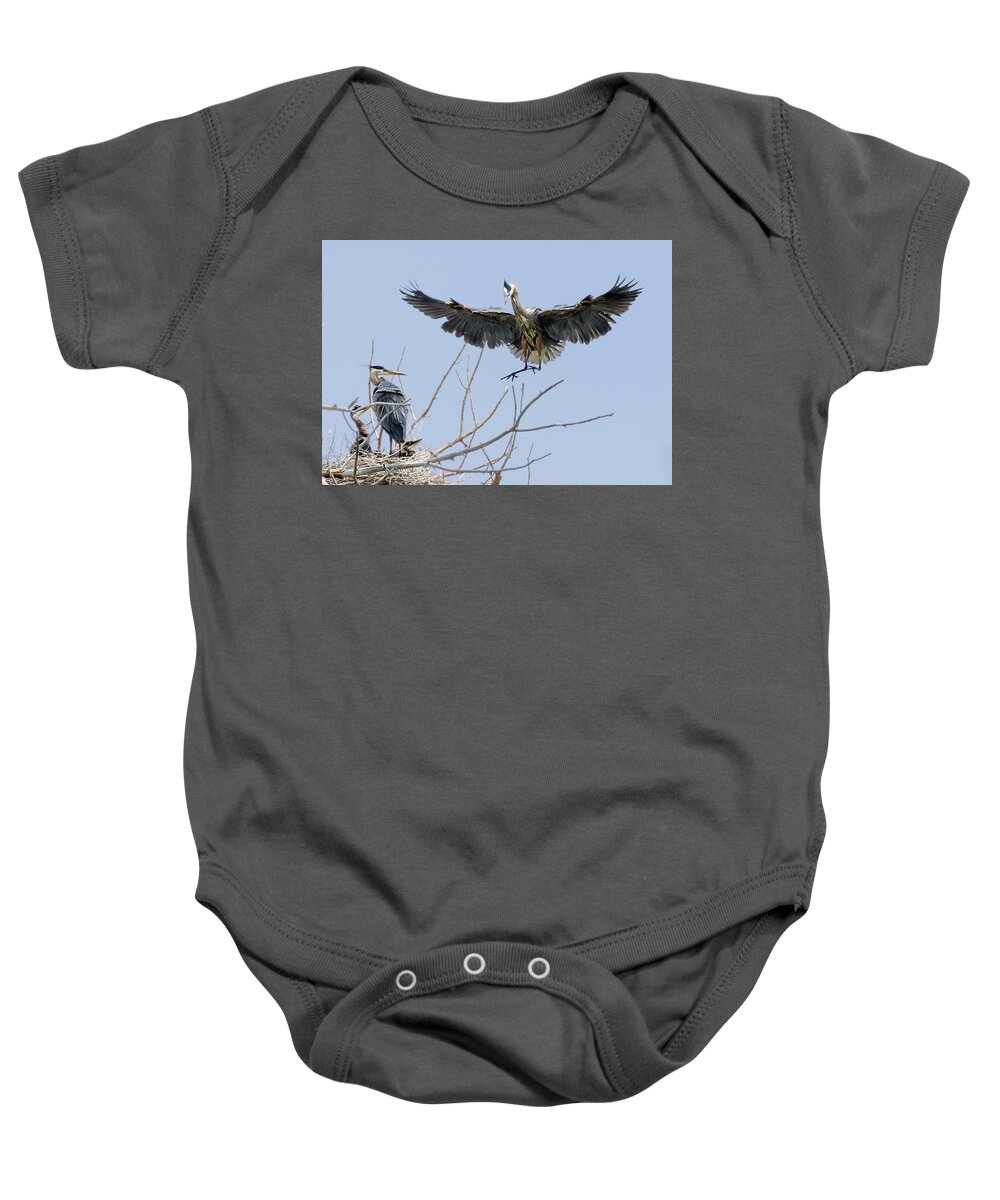 Stillwater Wildlife Refuge Baby Onesie featuring the photograph Great Blue Heron Rookery 2 by Rick Mosher