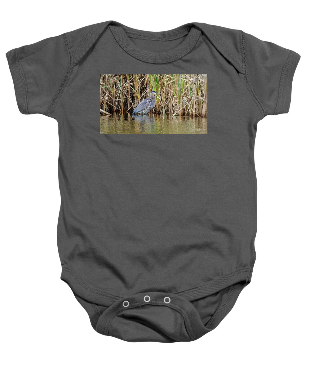 Bird Baby Onesie featuring the photograph Great Blue Heron Six by Shawn M Greener