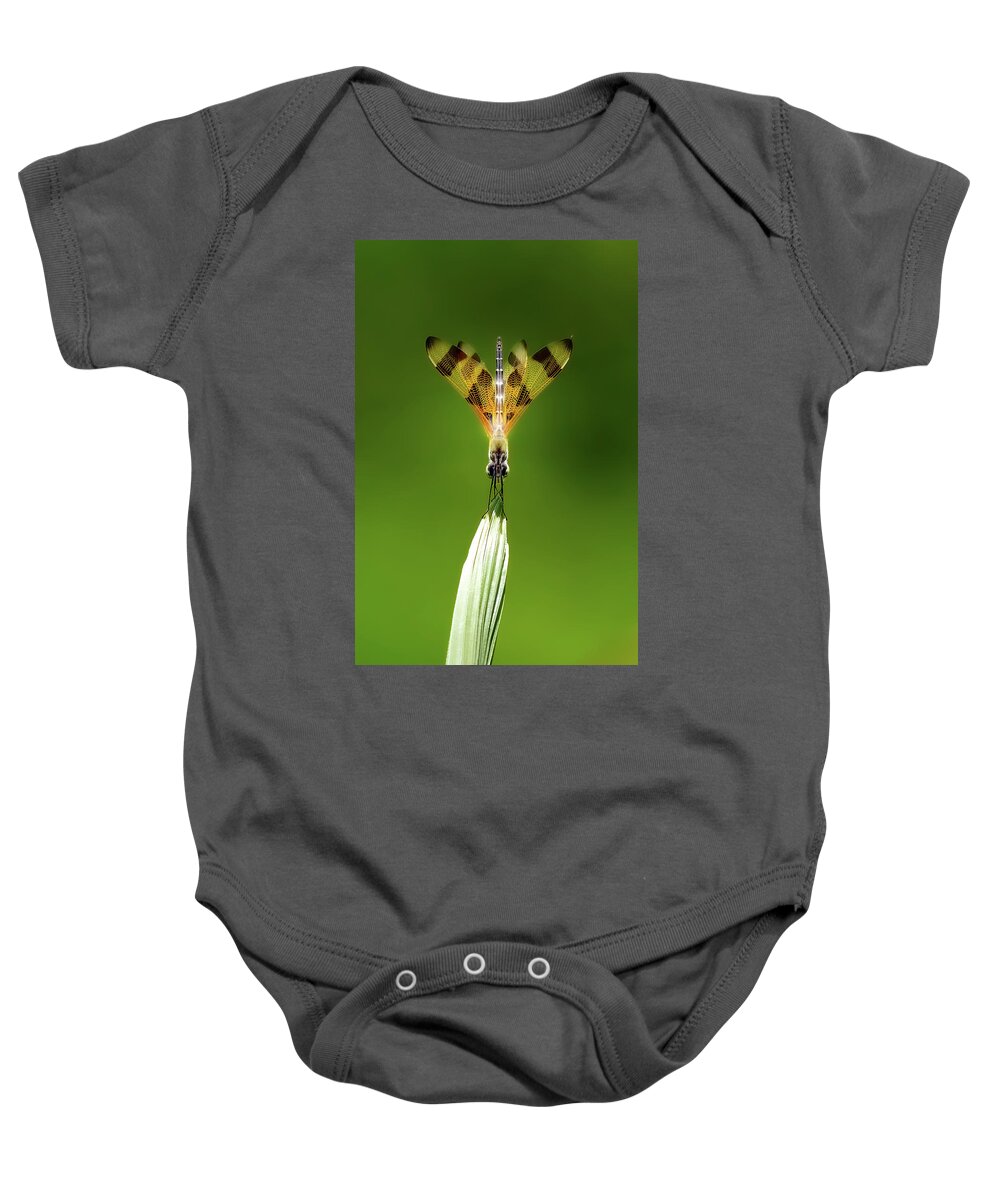 Dragonfly Baby Onesie featuring the photograph Halloween Pennant by Mark Andrew Thomas