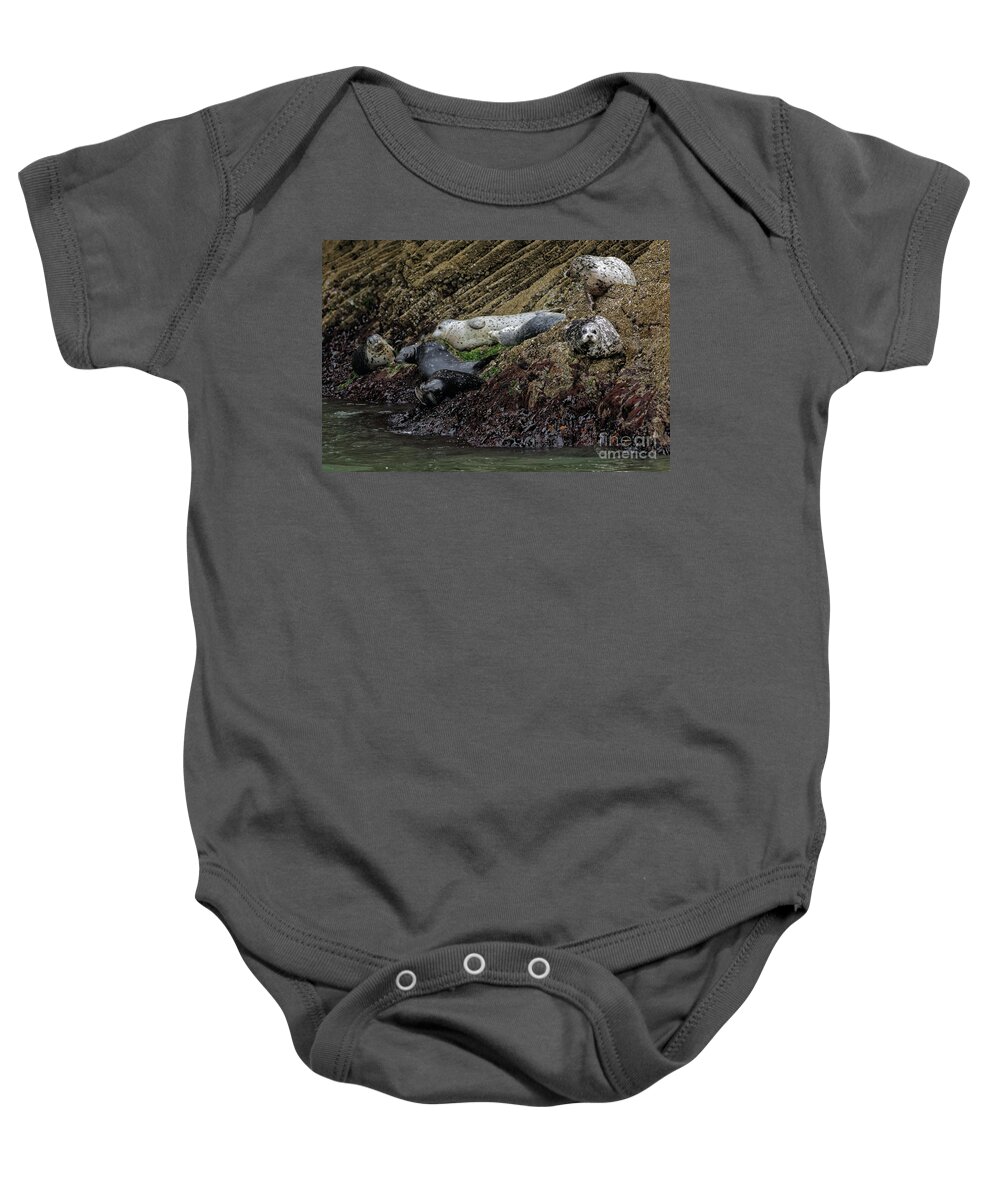 San Francisco Baby Onesie featuring the photograph Harbor Seal Gang by Natural Focal Point Photography
