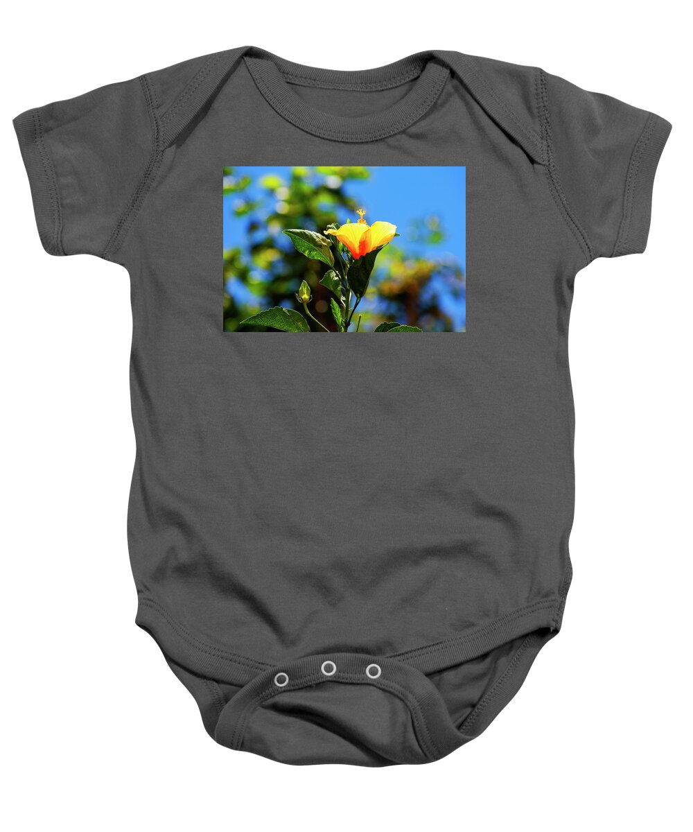 Hibiscus Baby Onesie featuring the photograph Hibiscus Blooming by Anthony Jones