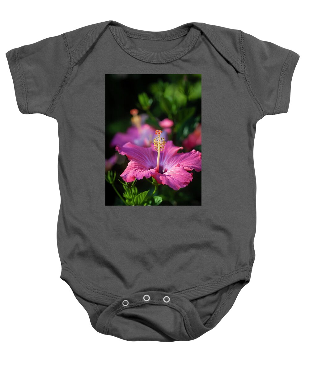 Nature Baby Onesie featuring the photograph Hibiscus Painted Lady 111 by Rich Franco