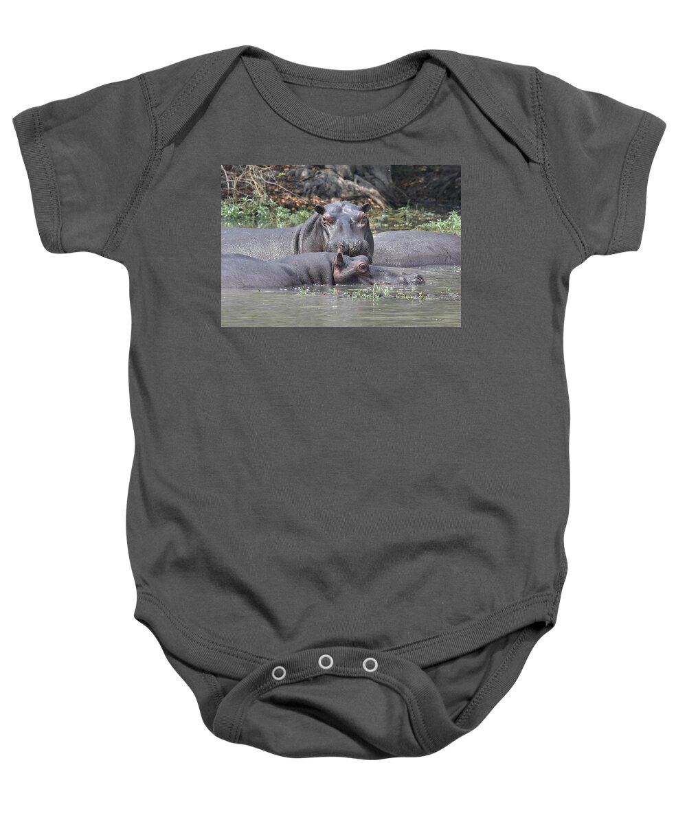 Hippo Baby Onesie featuring the photograph Hippo Pair by Ben Foster