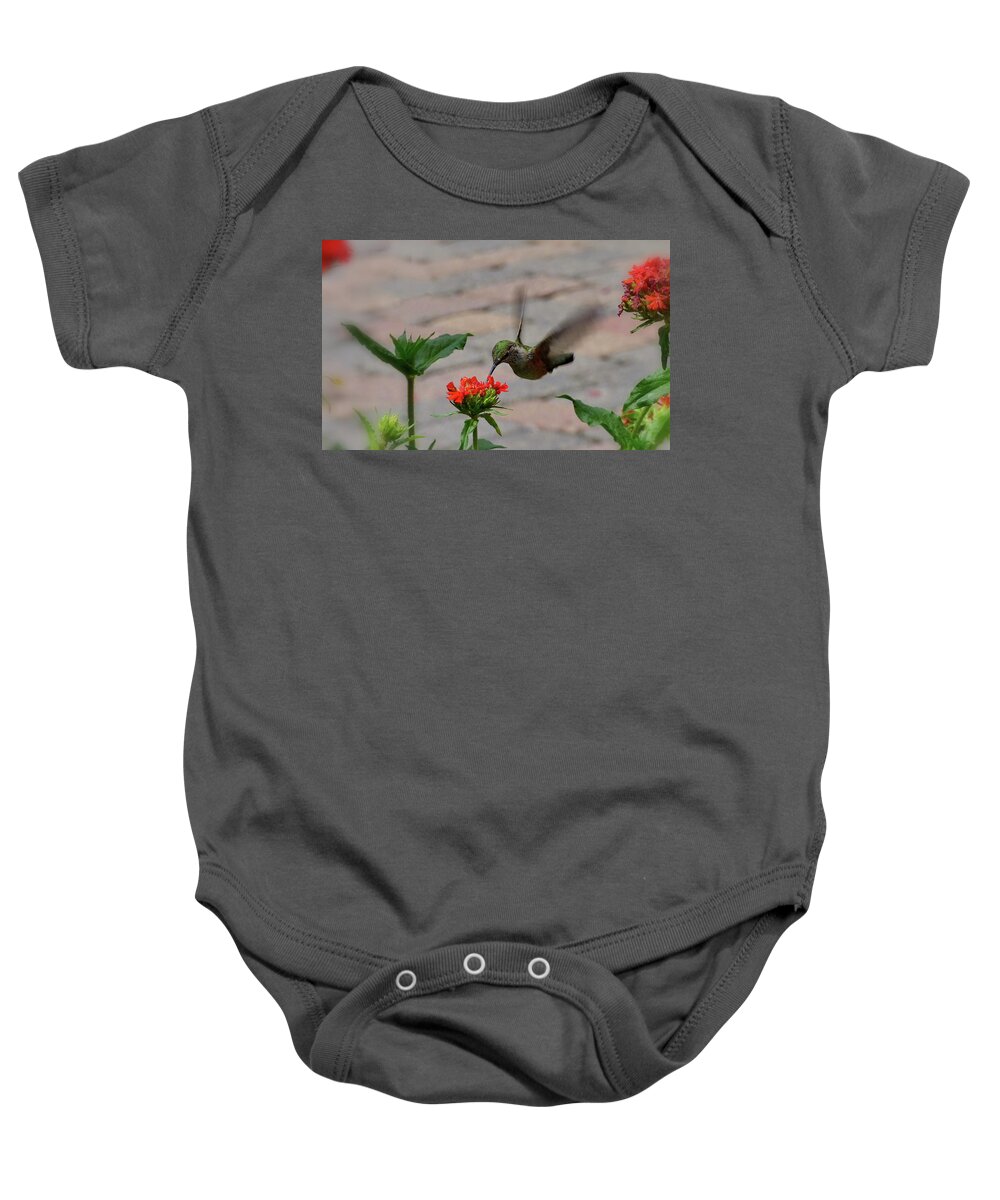 The Ruby-throated Hummingbird Baby Onesie featuring the photograph Hunting by Lyuba Filatova