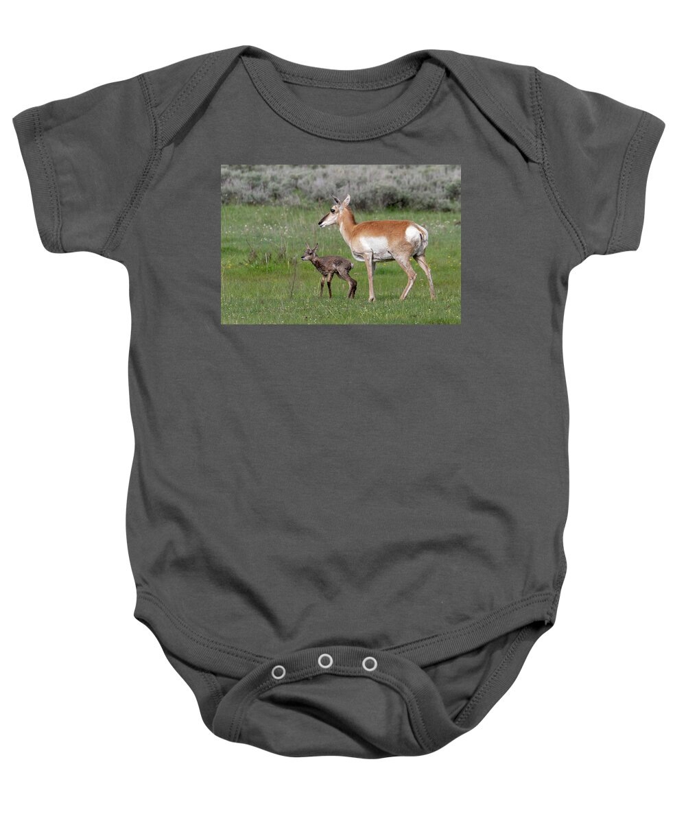 Pronghorn Baby Onesie featuring the photograph I can stand by Ronnie And Frances Howard