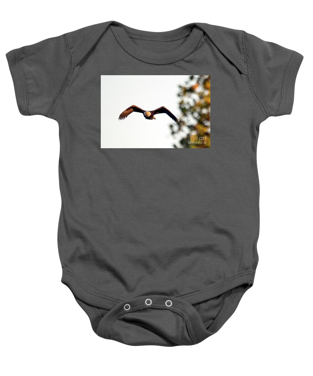 Bald Eagle Baby Onesie featuring the photograph Incoming by Sam Rino