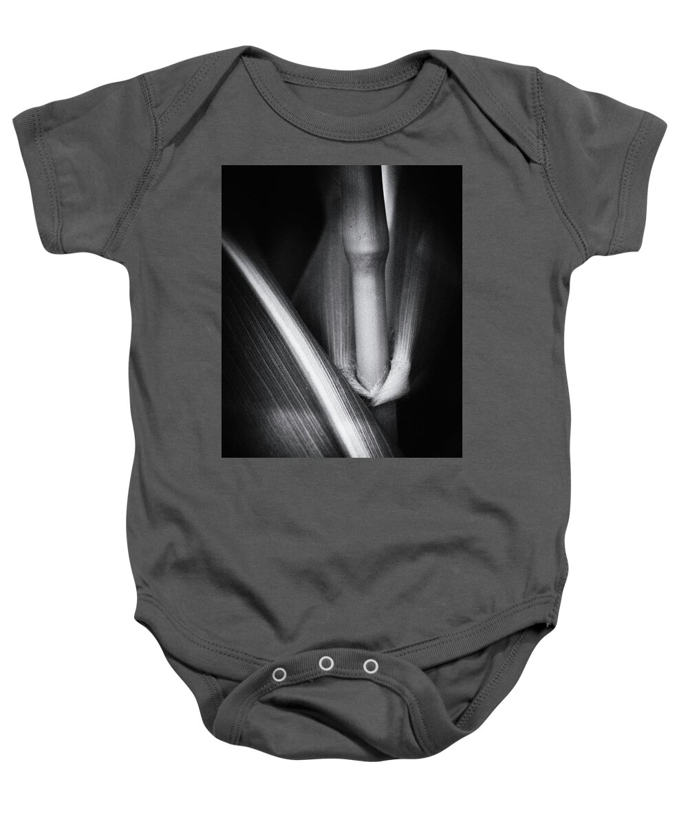 Corn Baby Onesie featuring the photograph Inside View by Lynn Wohlers