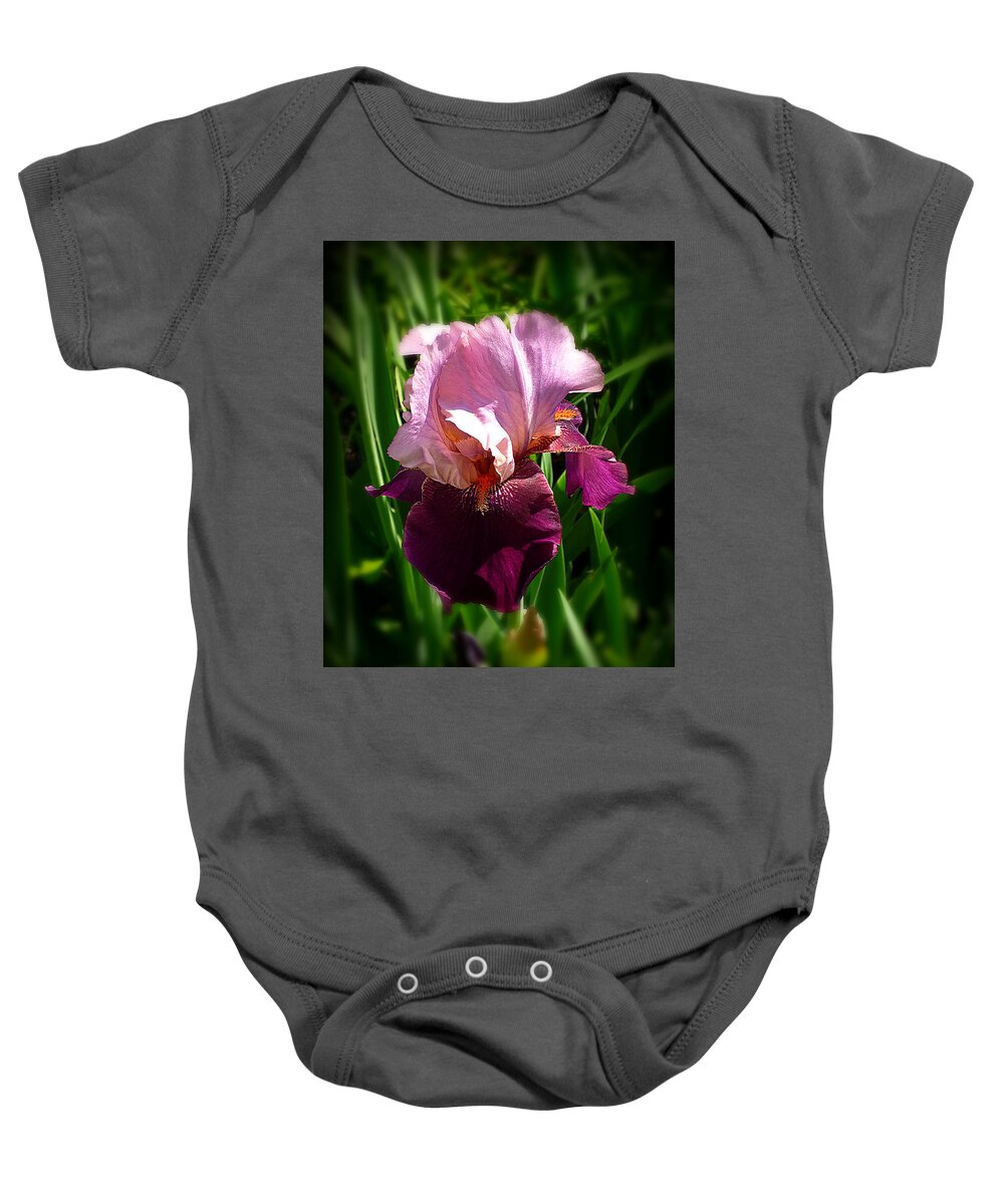 Pink Bearded Iris Baby Onesie featuring the photograph Iris in Pink and Violet by Mike McBrayer