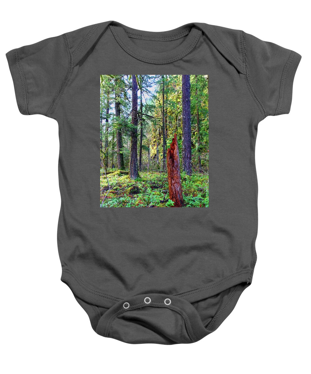 Conifer Baby Onesie featuring the photograph January 1000 ft yet no snow Oregon USA conifer forest beautiful quiet mossy Mount Hood National by Robert C Paulson Jr