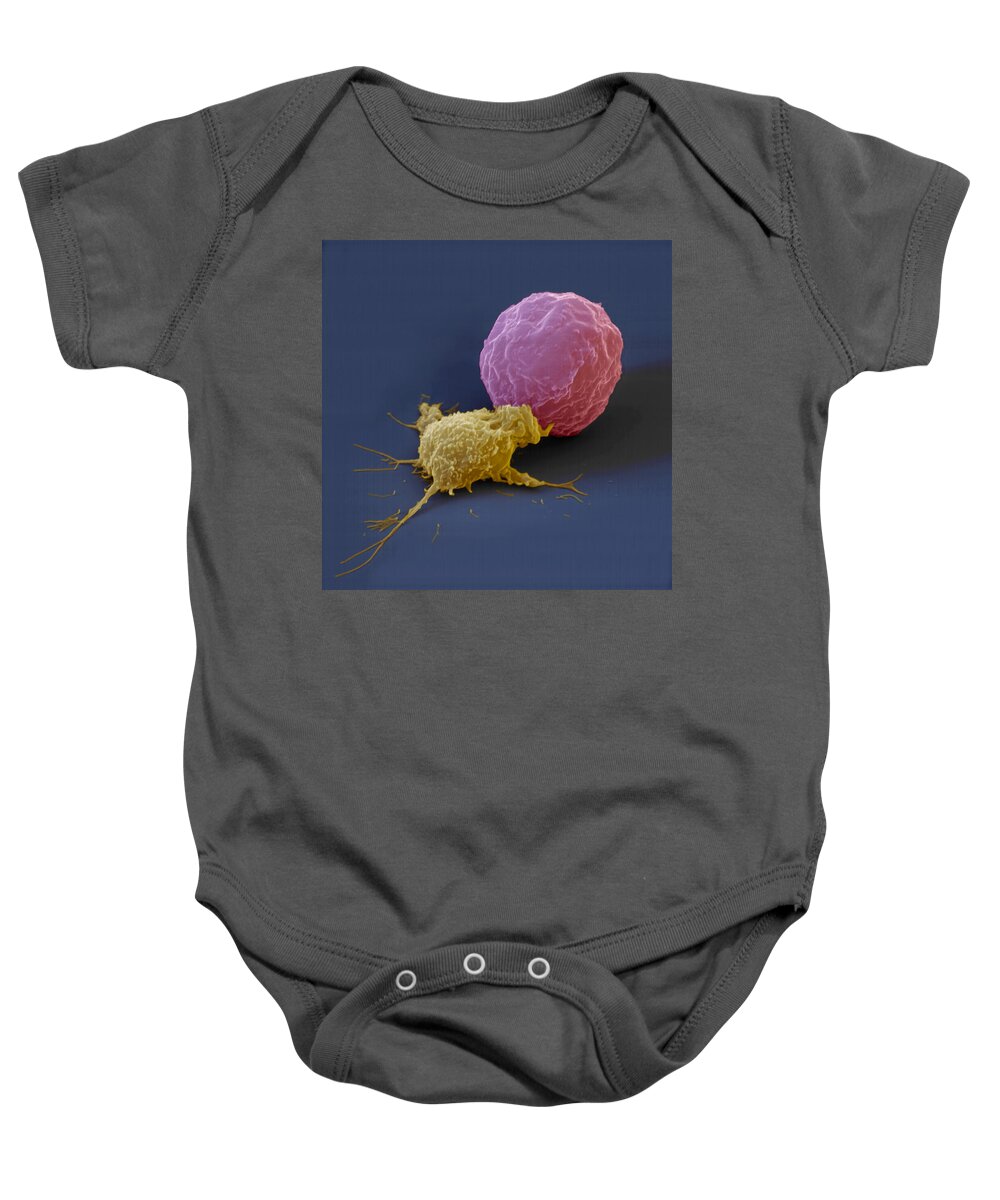 Antigen Baby Onesie featuring the photograph Killer Cell And Cancer Cell by Meckes/ottawa