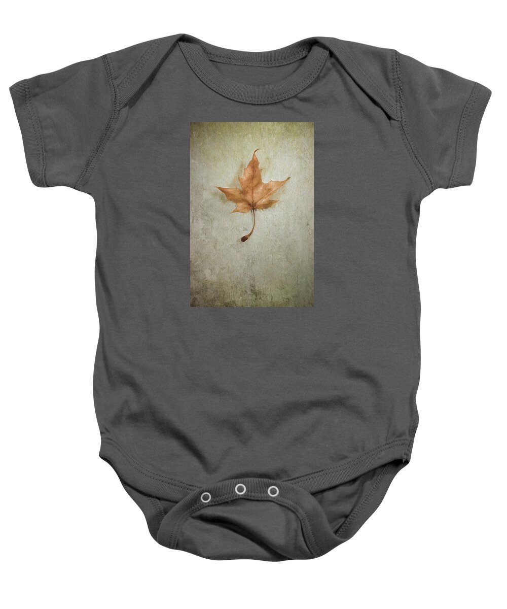 Leaf Baby Onesie featuring the photograph Last Days by Scott Norris