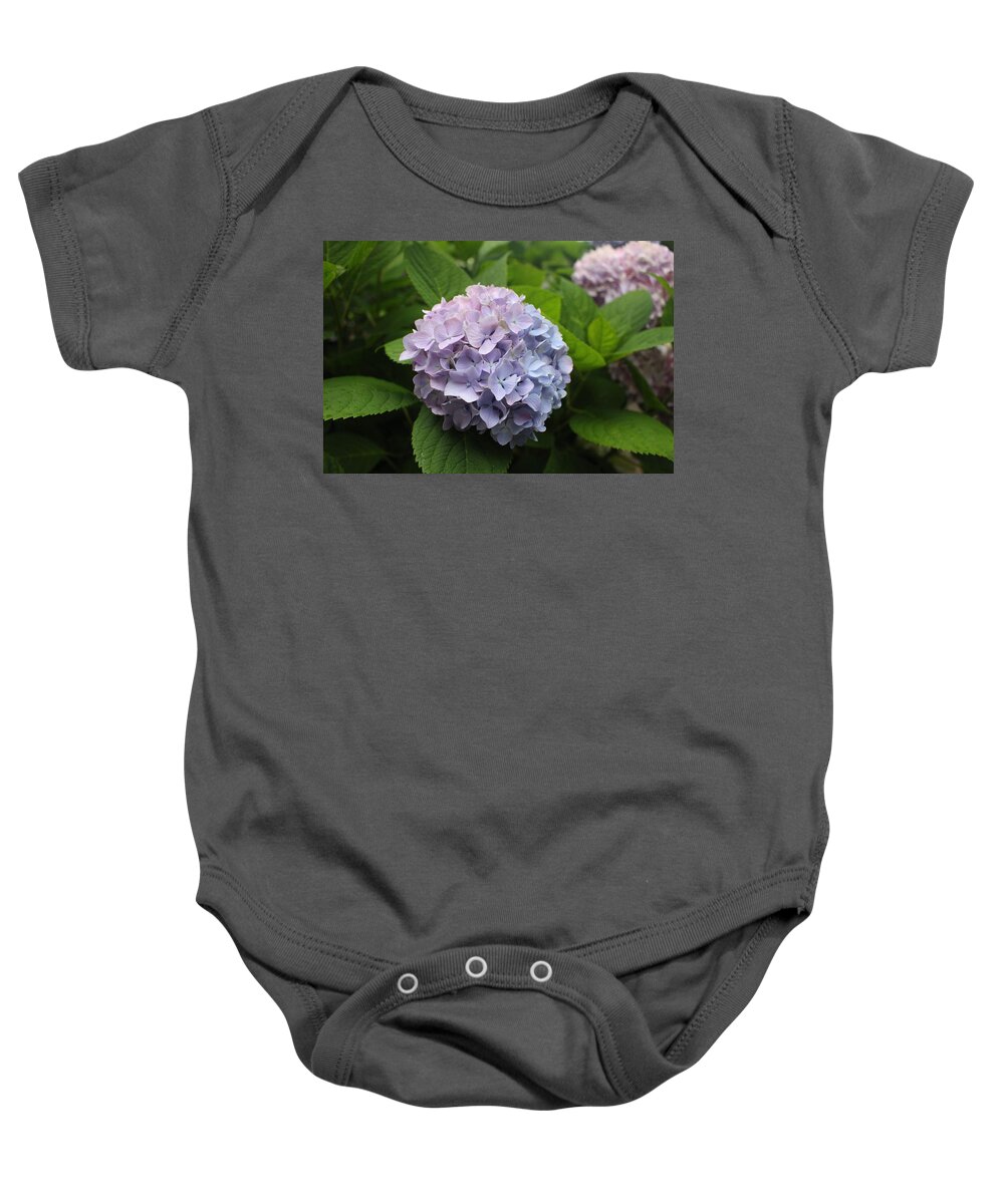 Lavender Baby Onesie featuring the photograph Lavender Hydrangea, Cape May by Christopher Lotito