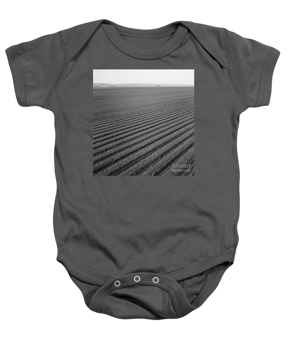 Row Baby Onesie featuring the photograph Lettuce Field In Salinas Valley, California, 1939 by Dorothea Lange