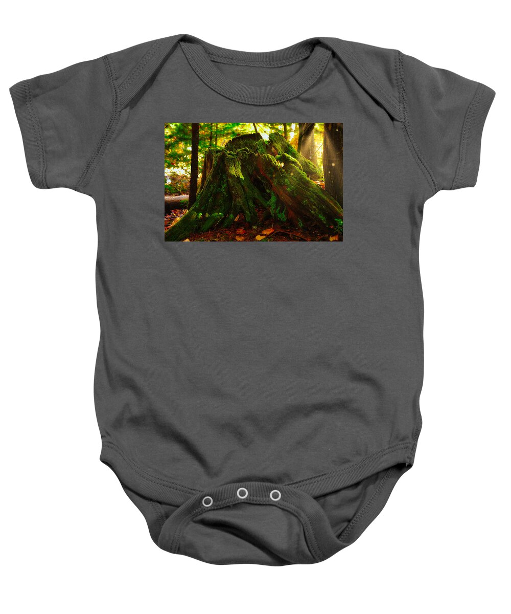 Photograph Baby Onesie featuring the photograph Life from Death by Richard Gehlbach