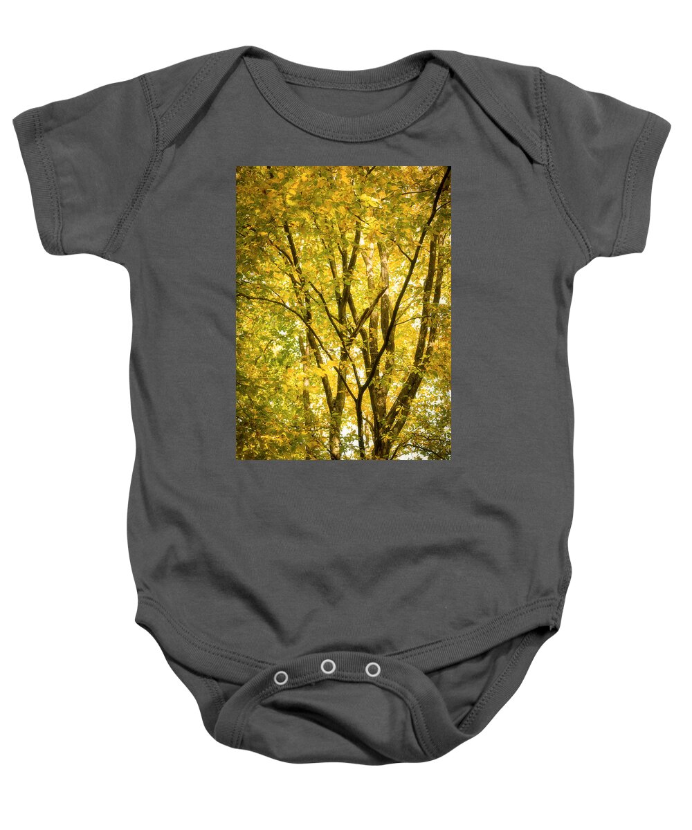 Autumn Baby Onesie featuring the photograph Light in the leaves by Philippe Sainte-Laudy