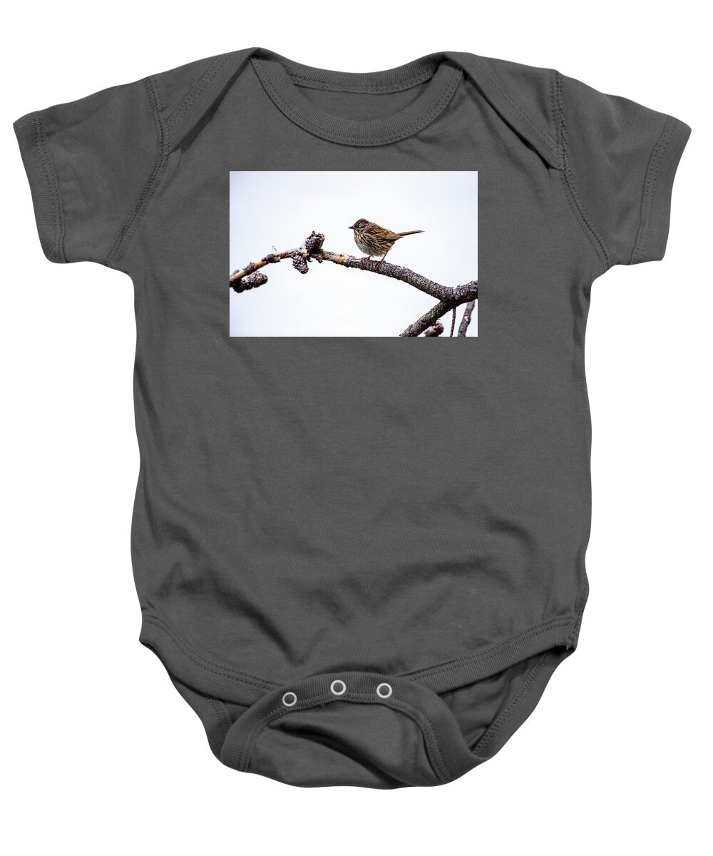 Wildlife Baby Onesie featuring the photograph Lincoln's Sparrow by David Morefield