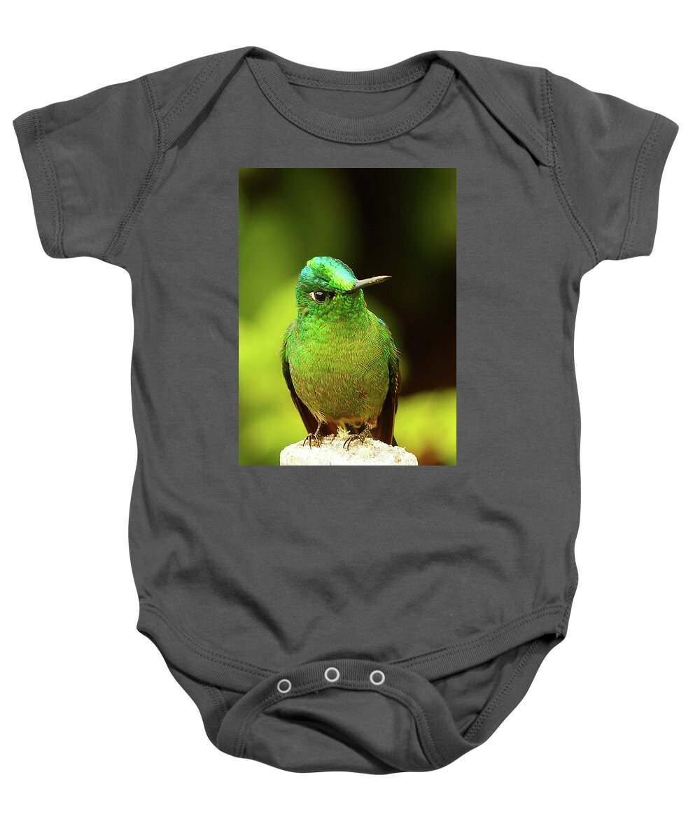 Hummingbird Baby Onesie featuring the photograph Long-tailed Sylph by Blair Wainman