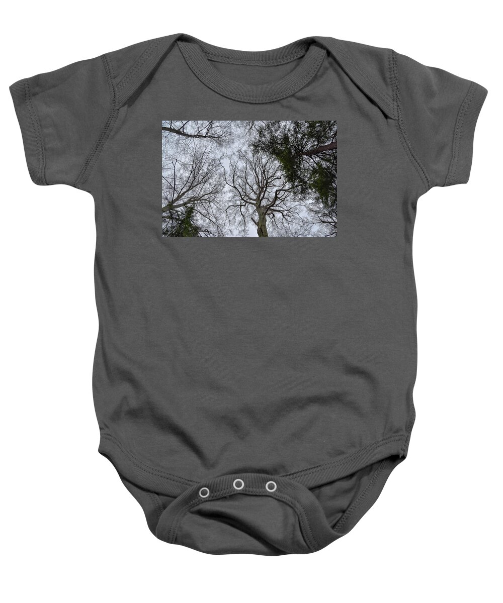 Looking Up Baby Onesie featuring the photograph Looking Up by Michelle Wittensoldner