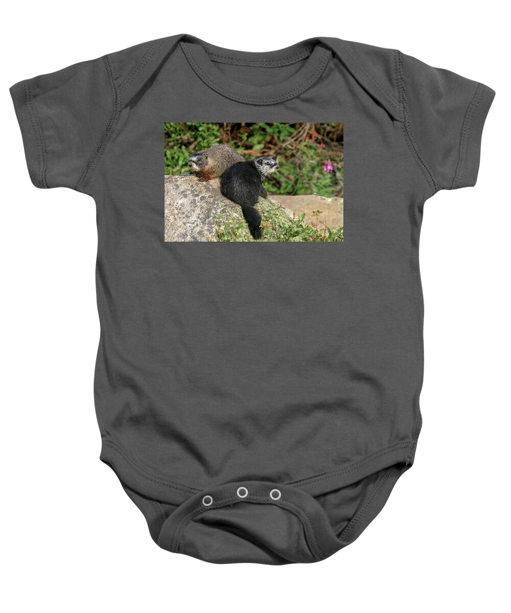 Marmots Baby Onesie featuring the photograph Ma and Paw by Ronnie And Frances Howard