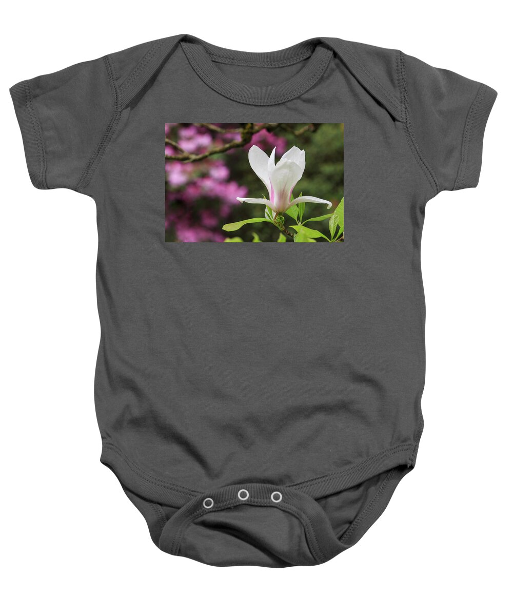 Japanese Garden Baby Onesie featuring the photograph Magnolia by Briand Sanderson