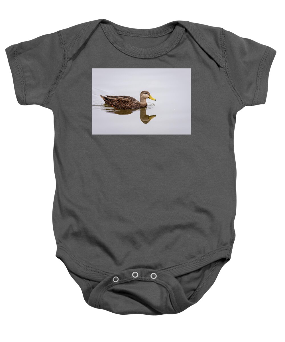 Debra Martz Baby Onesie featuring the photograph Male Mottled Duck Reflecting on the Water by Debra Martz