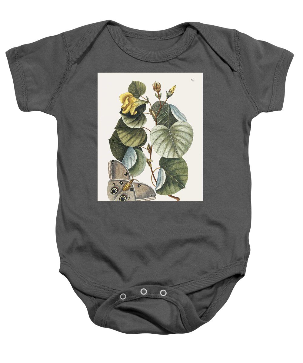 Flower Baby Onesie featuring the painting Mano Tree Ketmia from The natural history of Carolina, Florida, and the Bahama Islands 1754 by M by Mark Catesby