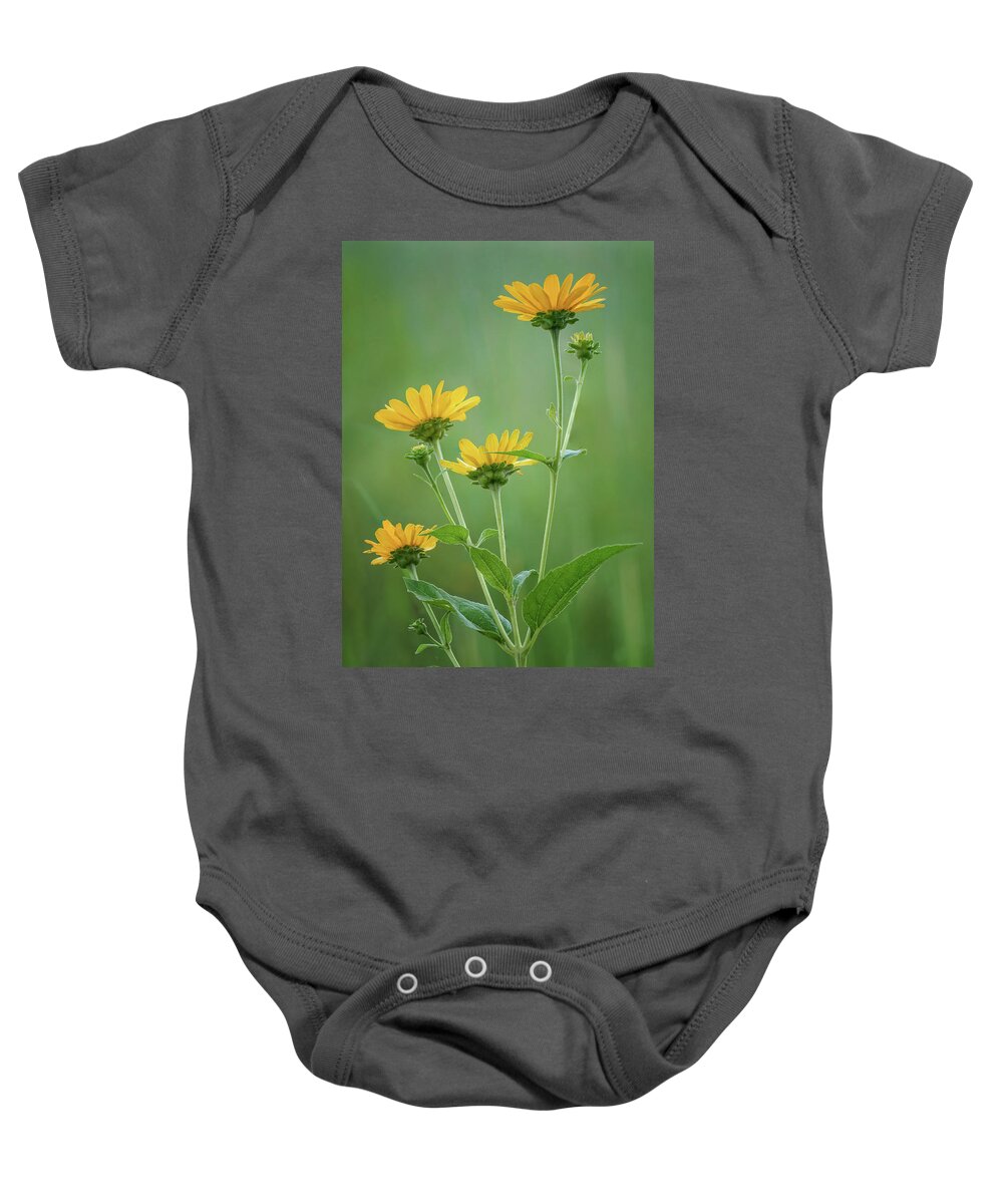 Wildflowers Baby Onesie featuring the photograph Maximilian Sunflower - No 1 by Nikolyn McDonald