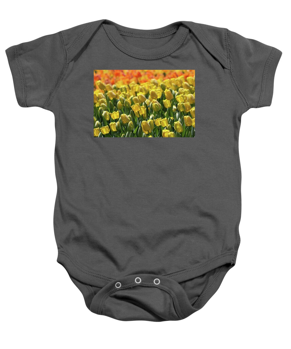 Tulip Baby Onesie featuring the photograph Melody by Mary Anne Delgado