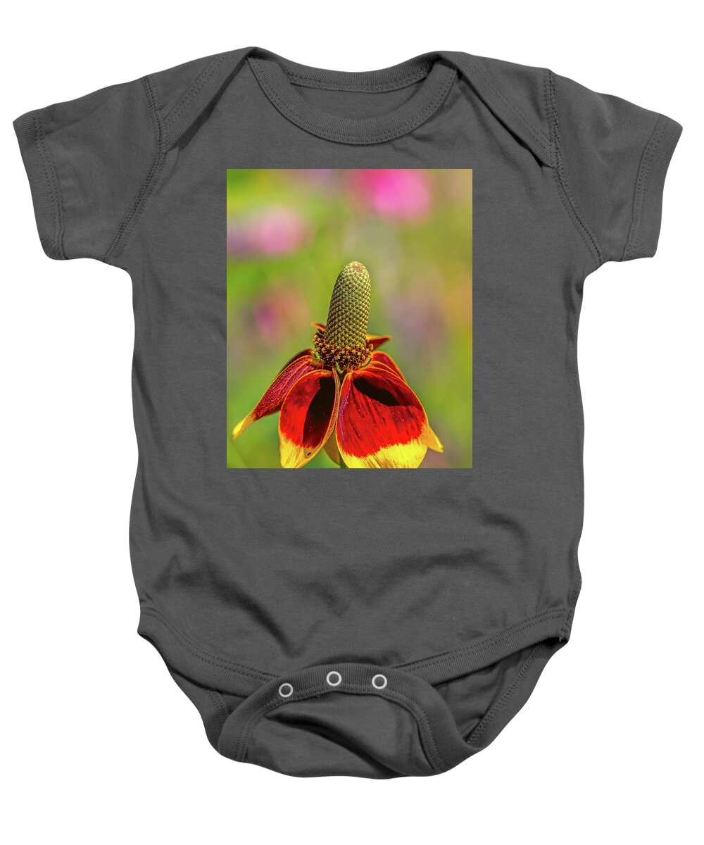 Amicalola-falls Baby Onesie featuring the photograph Mexican hat by Bernd Laeschke