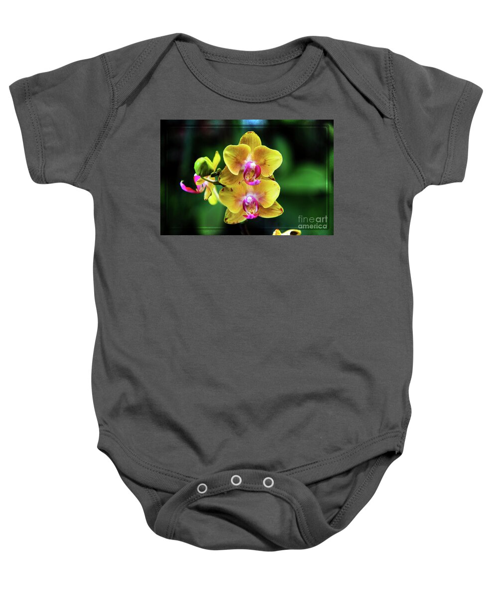 Midnight Orchid Baby Onesie featuring the photograph Midnight Orchid by Mariola Bitner