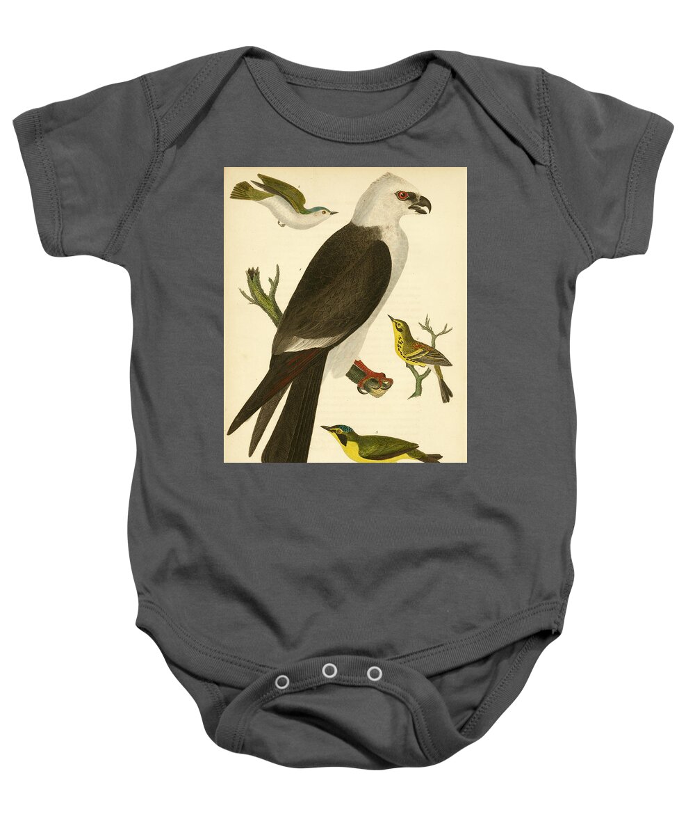Birds Baby Onesie featuring the mixed media Mississippi Kite by Alexander Wilson