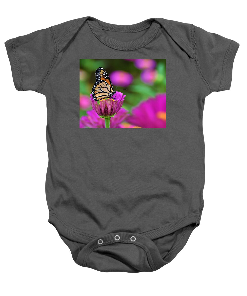 Monarch Butterfly Baby Onesie featuring the photograph Monarch Butterfly by Chip Gilbert