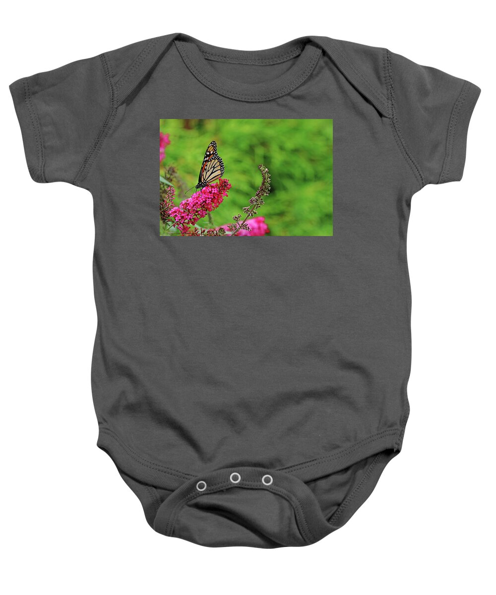 Butterfly Baby Onesie featuring the photograph Monarch In The Garden by Debbie Oppermann