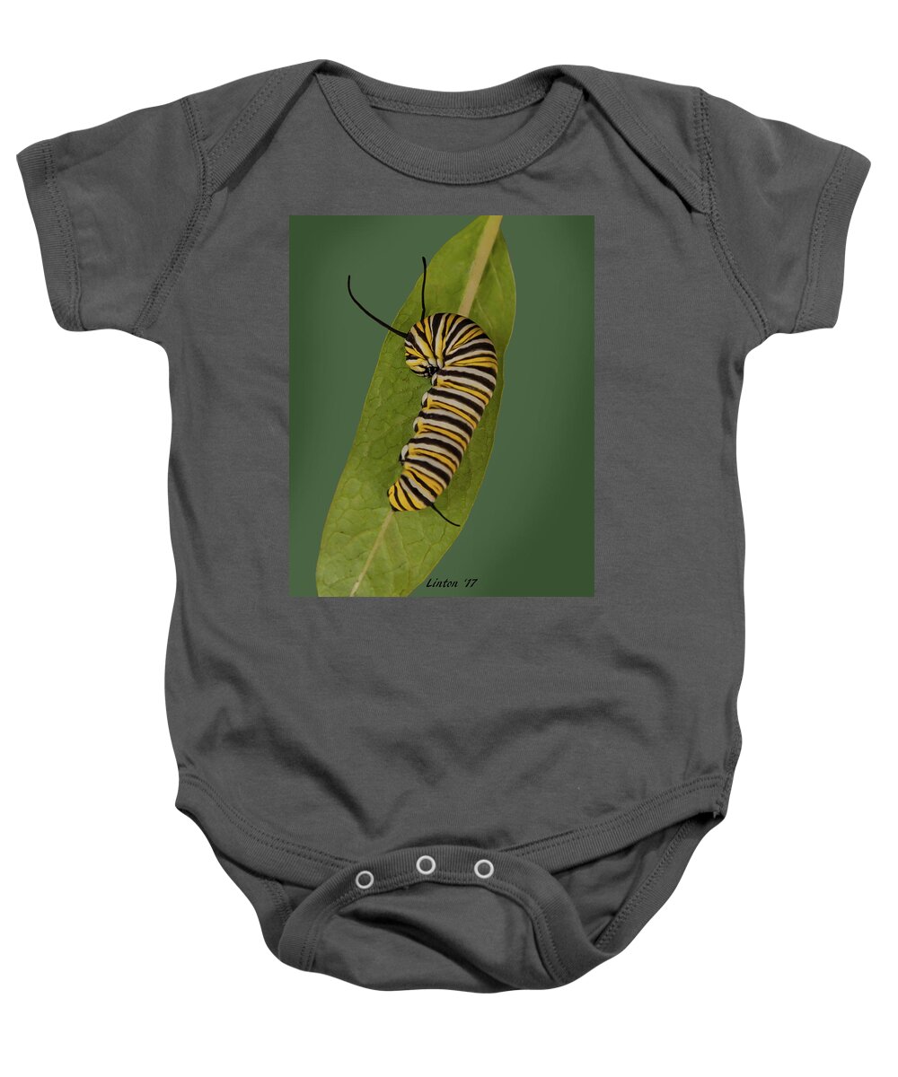 Monarch Baby Onesie featuring the photograph Monarch by Larry Linton