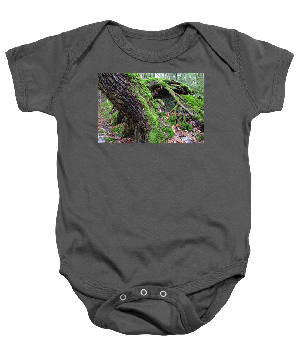 Environment Baby Onesie featuring the photograph Moss Covered Tree - White Mountains, New Hampshire by Erin Paul Donovan