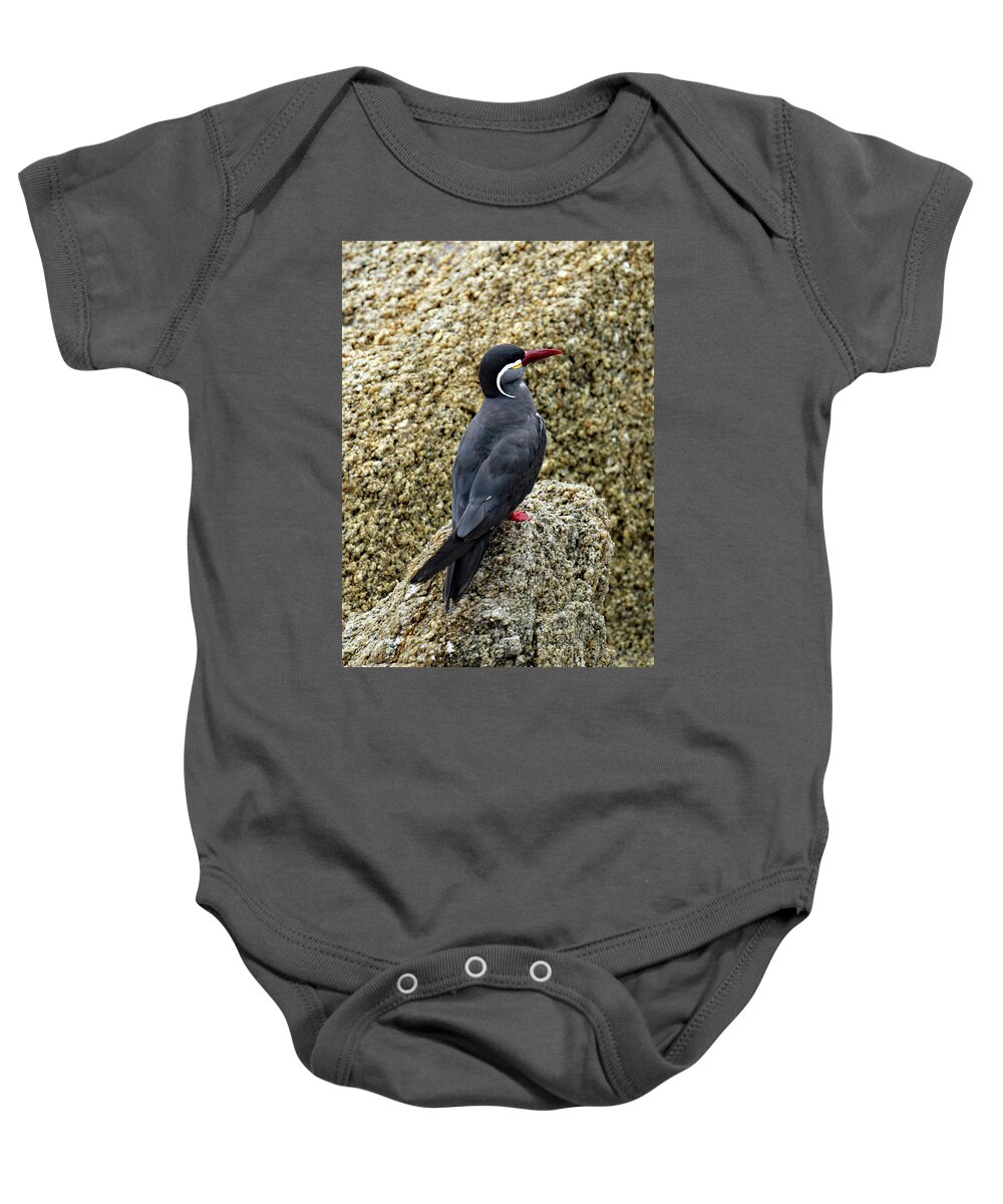 South America Baby Onesie featuring the photograph Moustached Tern by Jennifer Robin