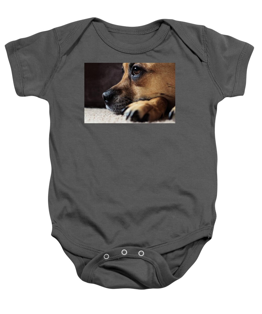Animal Baby Onesie featuring the photograph Moxee by Anamar Pictures