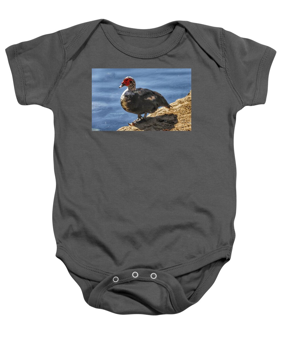 Birds Baby Onesie featuring the photograph Muscovy Duck #1 by Ross Kestin